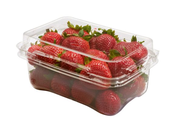 MIXIM 1lb Clamshell