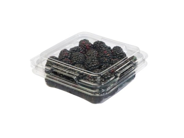 MIXIM 6oz (5×5) Clamshell