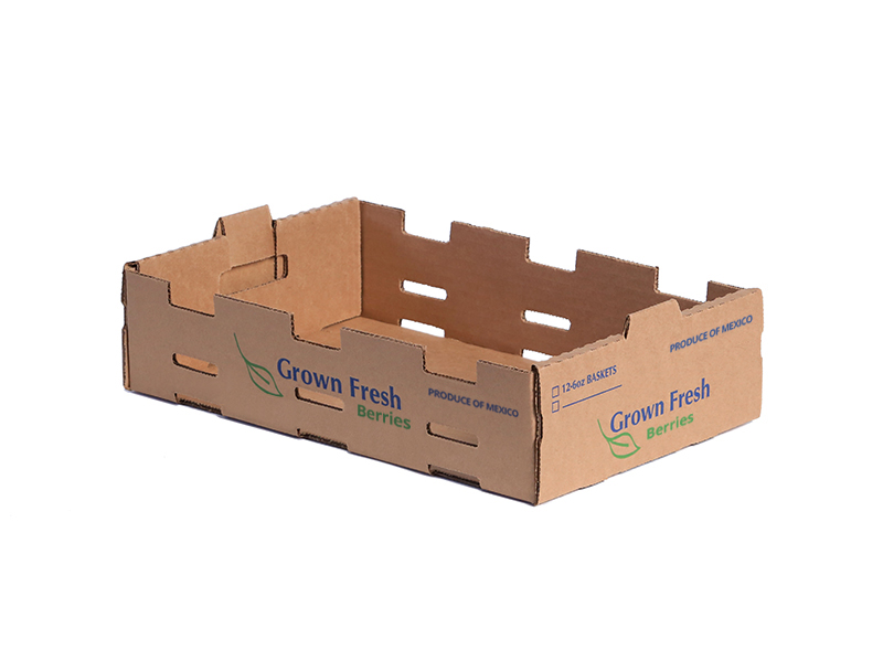 Tray-30-31-5000-12-6oz-12-Down-MEX