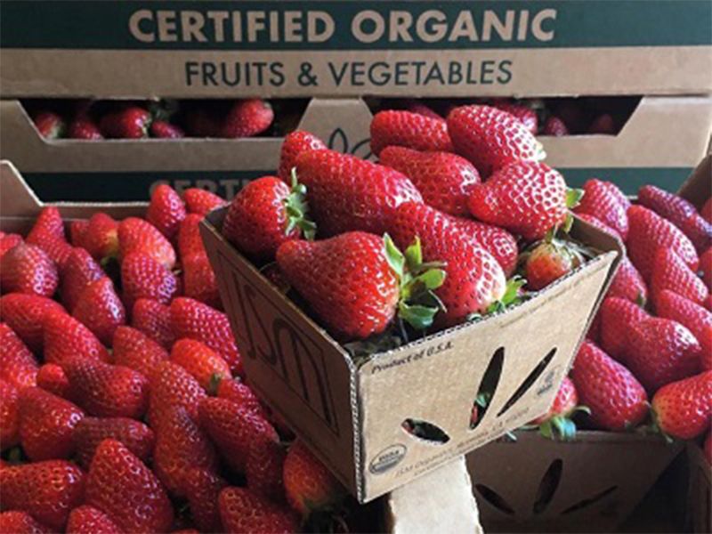 “In Their Words: Sacramento Natural Foods Co-op’s Rick Kilby” – OPN